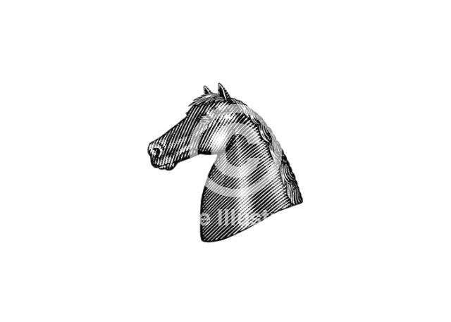 horse-bust