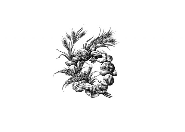 mixed-nuts-and-wheat-stev