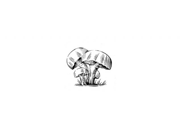 mushroom-icon