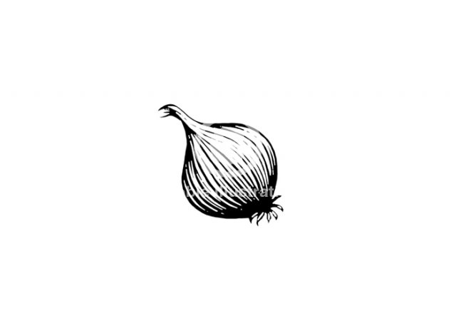 onion-_001