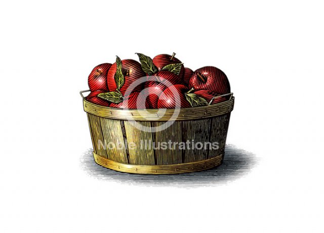 organic-apples-stock