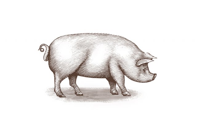 pig-art-3