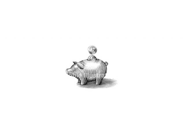 piggy-bank