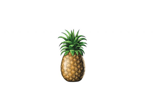pineapple-2