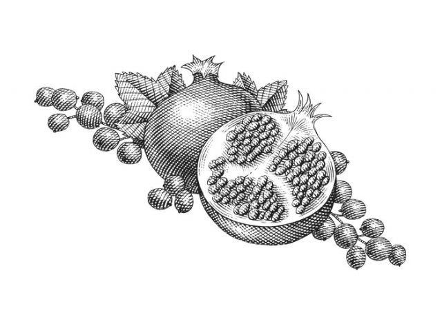 pomegranate