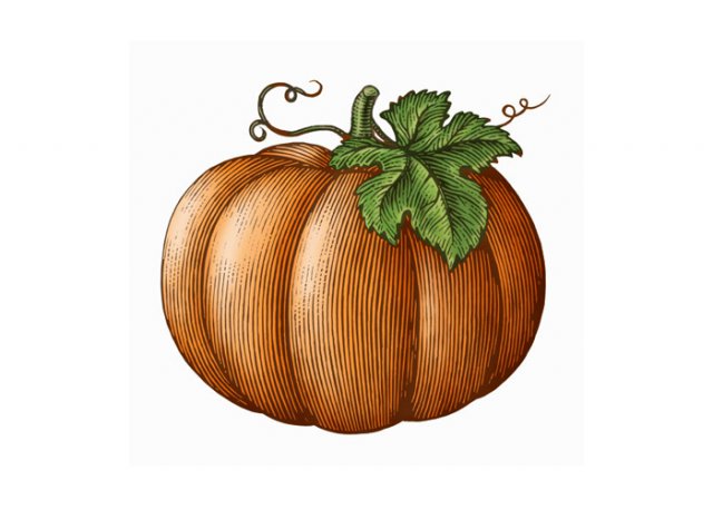 pumpkin-art