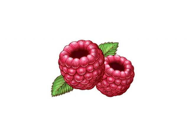 raspberries-2