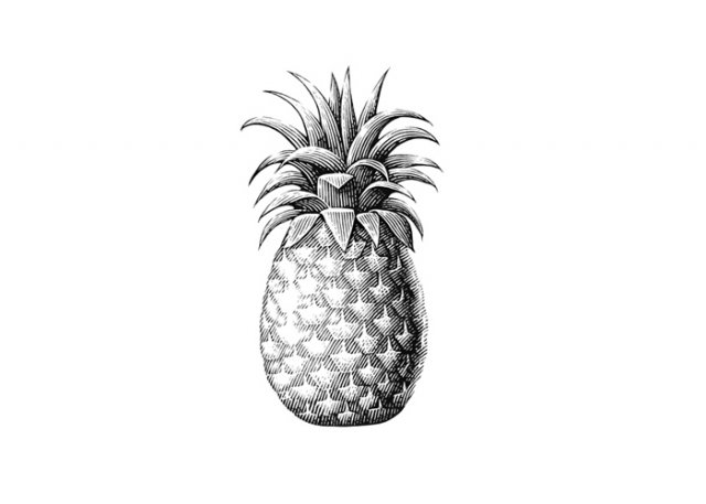 revised-pineapple-art-copy