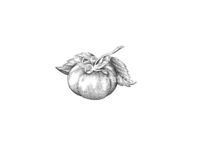 revised-tomato-art-copy