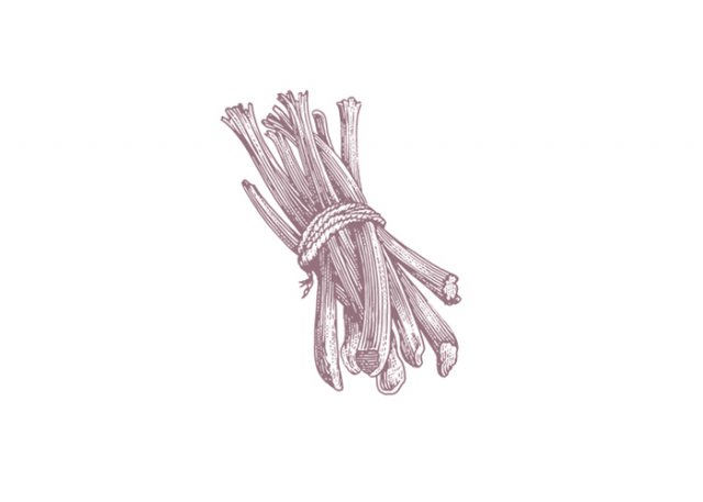 rhubarb-art