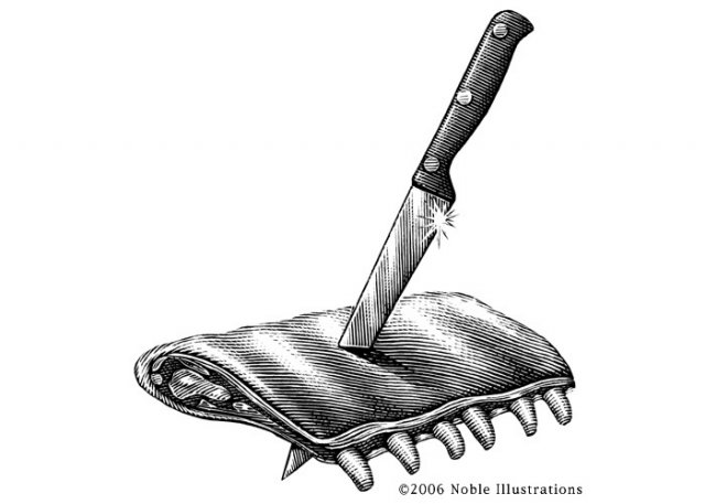 ribs_knife