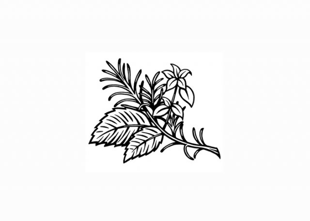 rosemary-oregano-basil