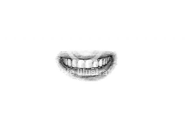 teeth-illustrations