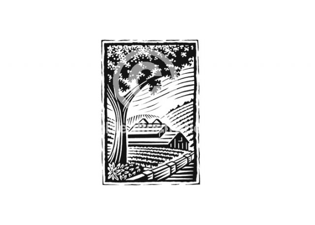 tree-barn-woodcut