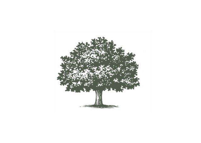 tree-woodcut