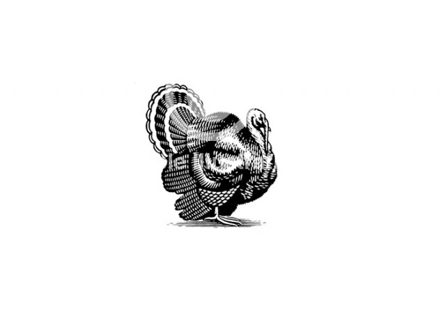 turkey-woodcut