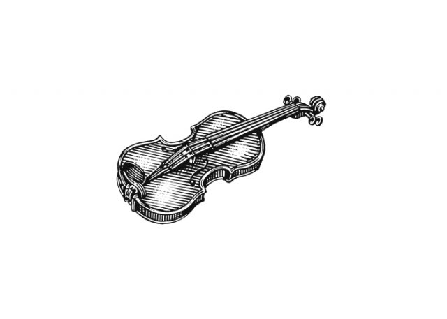 violin