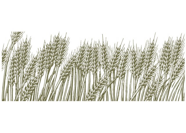 wheat-field-woodcut