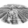 Agriculture-Art-stock
