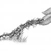 Ants-Crawling
