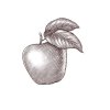 Apple-Art-3