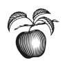 Apple-Woodcut