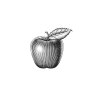 Apple-icon