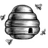 Beehive-2