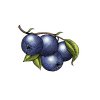 Blueberries-2