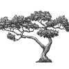 Bonsai-Tree-art