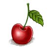 Cherry-Icon