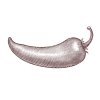 Chili-Pepper-1
