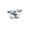 Eagle-Icon-2