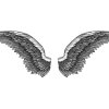 Eagle-Wings-2