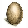 Egg-1