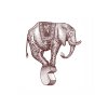 Elephant-3