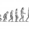 Evolution