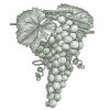 Grape-Cluster-2