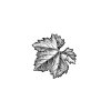 Grape-Leaf-Icon