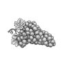 Grapes-3