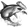 Hammerhead-Bass