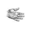 Hand