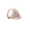 Hard-Hat
