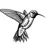 Hummingbird-art