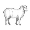 Lamb-1