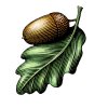 Oak-Leaf-Icon