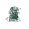 Otter-in-the-water