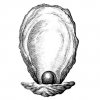 Oyster-and-Pearl