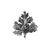 Parsley-Icon
