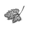 Parsley-art